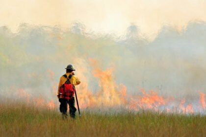 Why Spring Is the Most Common Season for Wildfires