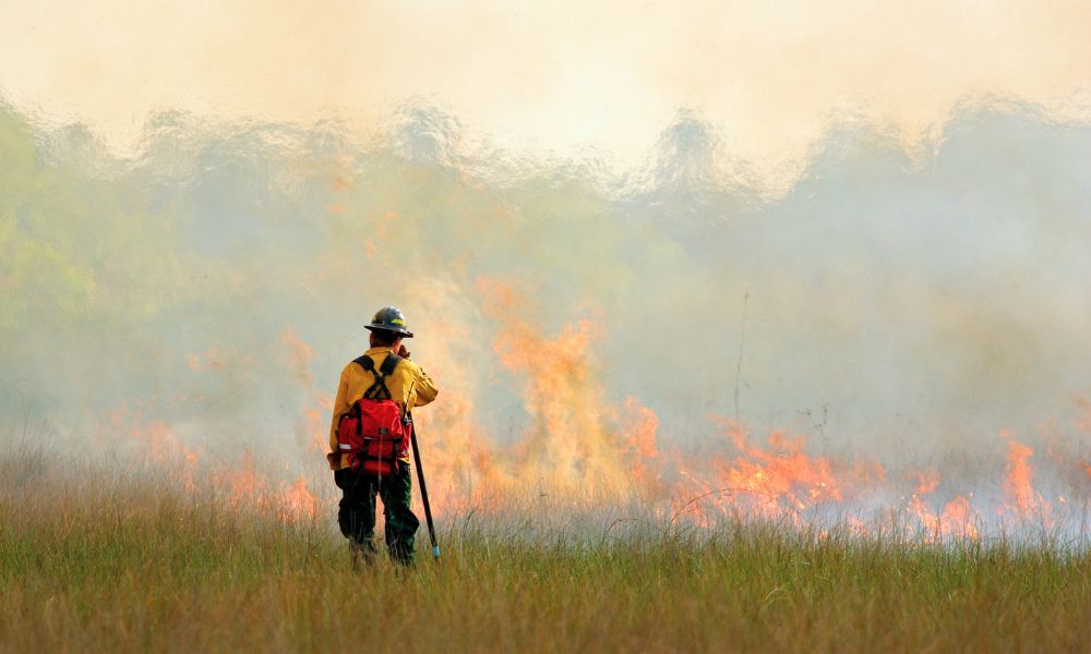 Why Spring Is the Most Common Season for Wildfires