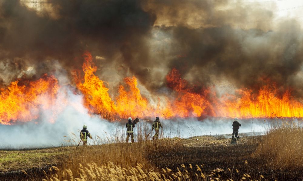 Read more about the article Effective Ways To Prepare for Wildfire Season