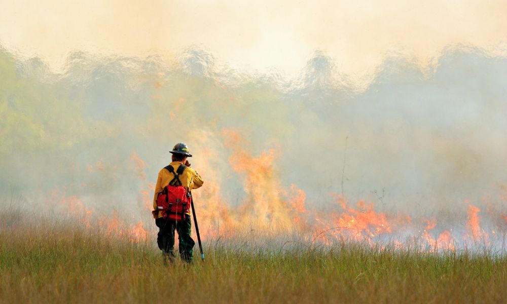 Read more about the article Why Spring Is the Most Common Season for Wildfires