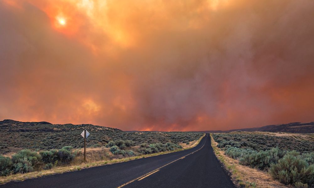 Read more about the article Tips for Creating a Wildfire Evacuation Plan