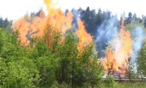 Wildfire Season Readiness Home Prep with Fire-Resistant Products