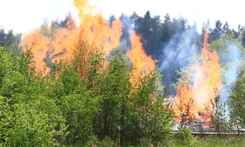 Read more about the article Wildfire Season Home Prep | Fire-Resistant Coatings Guide