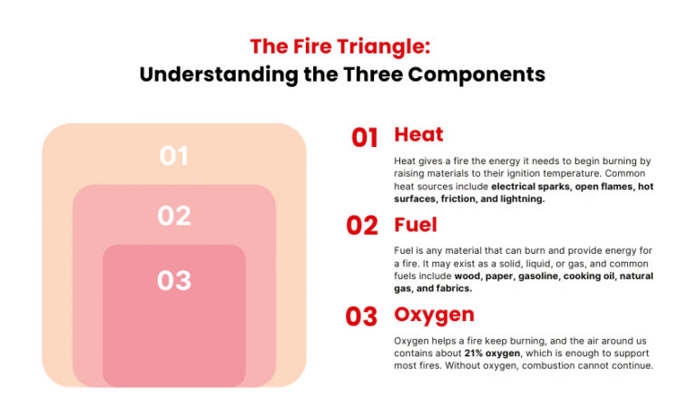 Explain the Fire Triangle & Cite an Example of How It Works