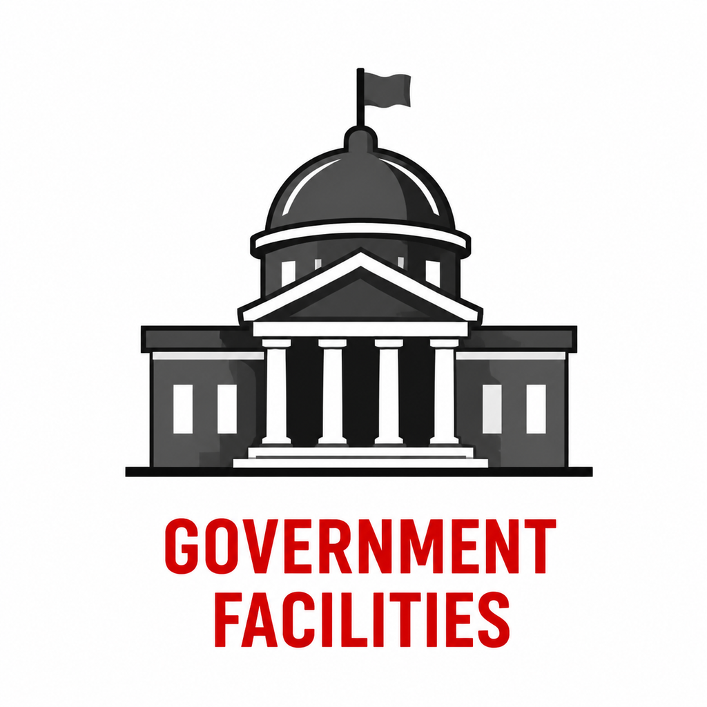 government